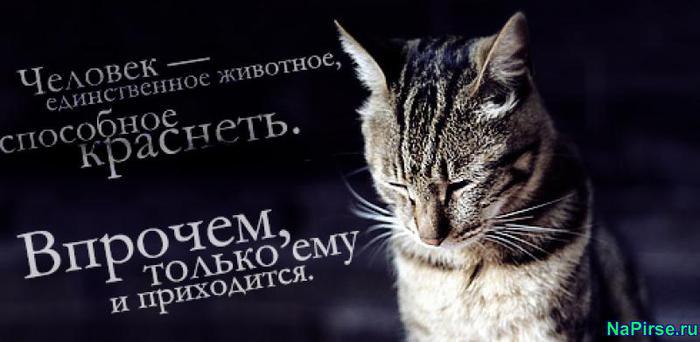  - 21  2014  20:50