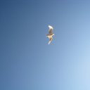 ���� ��������, ������, 60 ��� - ��������� 25 ��� 2014 � ������ ���� ����������