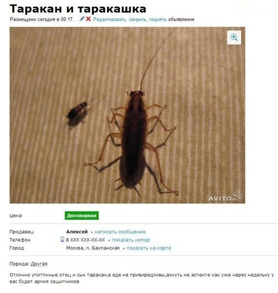     - 8