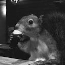 ���� ������, ������, 35 ��� - ��������� 7 ������� 2014 � ������ ������ ��������