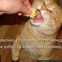 ���� �����, �����������, 40 ��� - ��������� 30 ���� 2014 � ������ ������ ��������