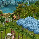 ���� �������, ��������������, 28 ��� - ��������� 18 ������ 2014 � ������ �Tropikania�