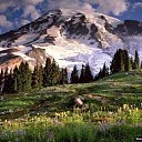 ���� ������, �������, 68 ��� - ��������� 24 ������ 2014 � ������ ���� ����������