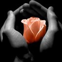 ���� Madam, �����-��������� - ��������� 25 ���� 2014 � ������ ������ ��������