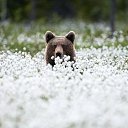 ���� ������, �������� - ��������� 24 ���� 2014 � ������ ���� ����������