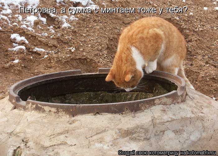 Alex Linadherent - 16  2014  12:52