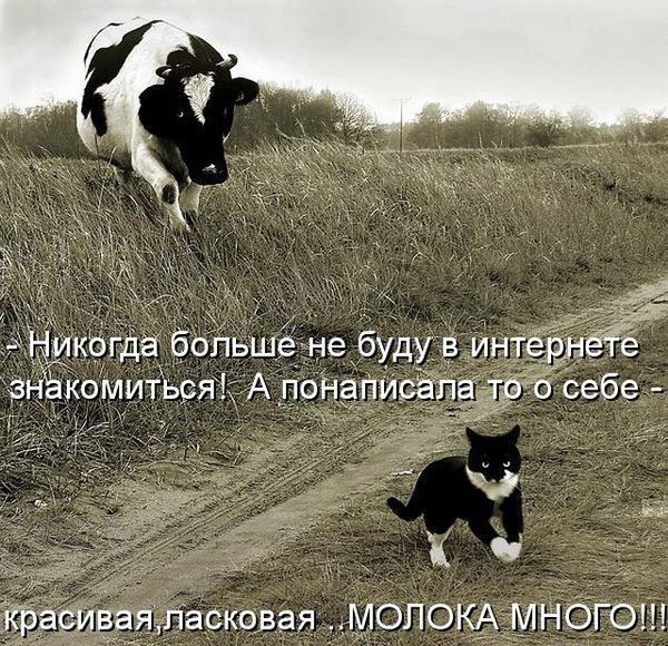 - 19  2014  18:15