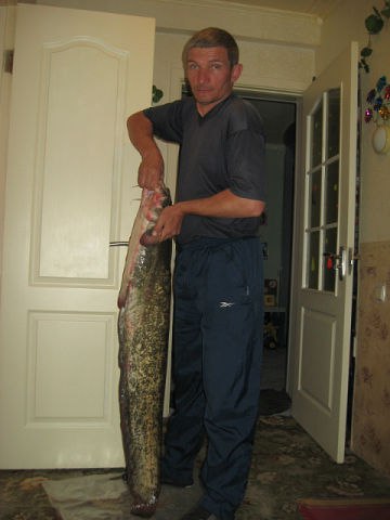 ��� � - 17 ��� 2014 � 16:42 - 3