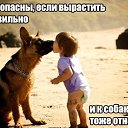 ���� ������, ����� - ��������� 7 ������ 2014 � ������ ���� ����������