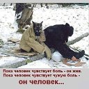  , , 71  -  13  2014     ... .