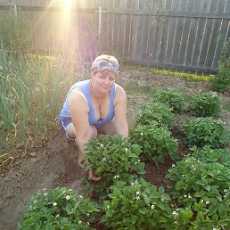 ���� �����, ����, 59 ��� - ��������� 24 ��� 2014