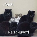 ���� Irina, ������ - ��������� 4 ��� 2014 � ������ �������