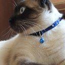 ���� Alina, ����� - ��������� 6 ������ 2014 � ������ ���� ����������