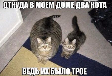     <a href=