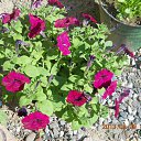  ,  -  26  2014     .