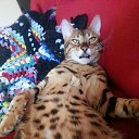 ���� ����, ������ - ��������� 10 ������ 2014 � ������ ���� ����������