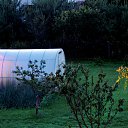 ������ ����. ���� 2014. �� ������� ������Ż