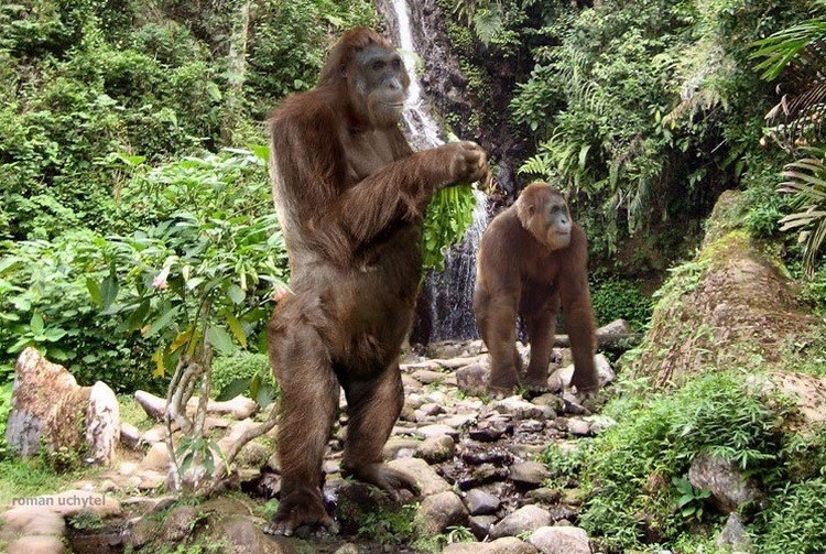 Гигантопитеки.Жили от 9 до 1 млн. лет назадГигантопитеки (лат. Gigantopithecus) — вымерший род ...