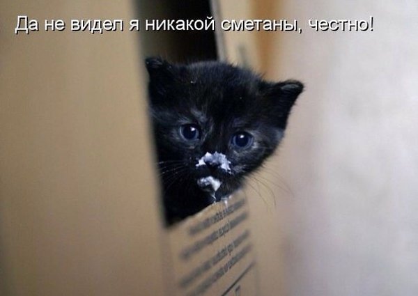  -  - 20  2014  07:44