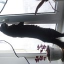 ���� �������, ������������, 37 ��� - ��������� 20 ���� 2014 � ������ ������ ��������