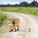 ���� Svetlana, ������ - ��������� 8 ������� 2014 � ������ ���� ����������