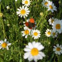  ++, , 55  -  10  2014     