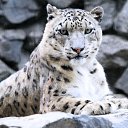 ���� ������, ���������� - ��������� 26 ����� 2014 � ������ ���� ����������