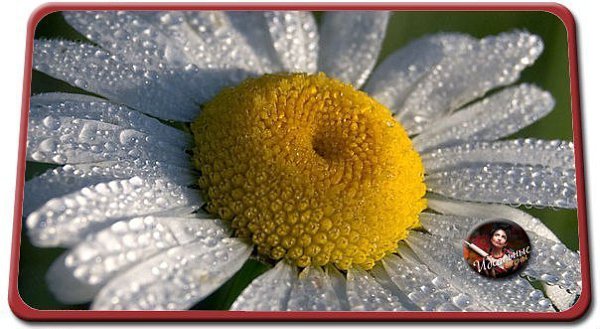 Вчера — это История, Завтра — это Загадка, а Сегодня — это Дар!