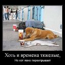 ���� �������, ����-���������, 53 ���� - ��������� 25 ��� 2014 � ������ ������ ��������