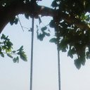 ���� �����, �����������, 33 ���� - ��������� 26 ��� 2014 � ������ ���� ����������