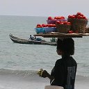 ���� �� ������� ���� ����������