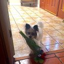 ���� ����, ������ - ��������� 31 ��� 2014 � ������ �))))�