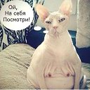 ���� �������, ������, 61 ��� - ��������� 17 ���� 2014 � ������ ������ ��������