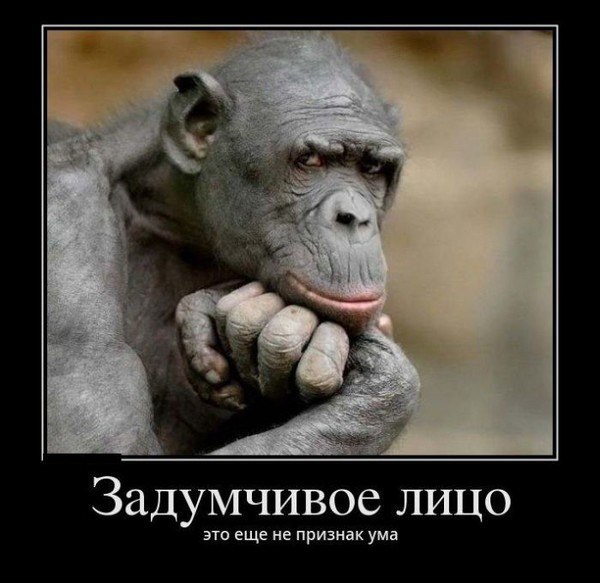 !    ))))