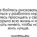  ******, , 56  -  18  2014    