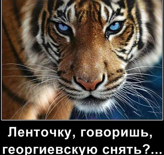 Игорь - 18 июня 2014 в 23:46