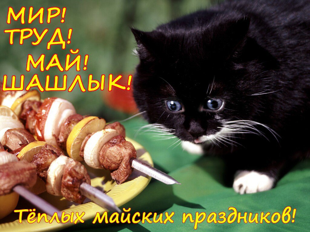 Мисс город! <a href=