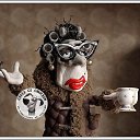 ���� �����, ������ �������� - ��������� 19 ���� 2014 � ������ ������ ��������