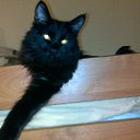 ���� ������, ������-��-����, 47 ��� - ��������� 13 ���� 2014 � ������ ���� ����������