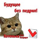 ���� ���������, ������, 39 ��� - ��������� 24 ��� 2014 � ������ ������ ��������