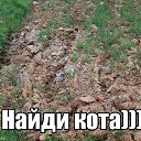 ���� ��������, �����-���������, 35 ��� - ��������� 26 ��� 2014 � ������ ���� ����������