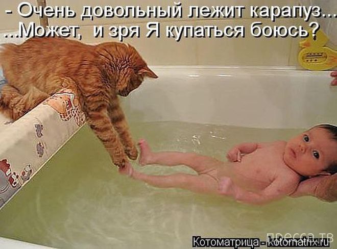 Cshohkolad - 11 ���� 2014 � 15:35