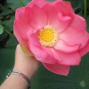 ���� �����, ������, 60 ��� - ��������� 27 ���� 2014 � ������ ���� ����������