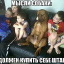 ���� �����, ���������, 53 ���� - ��������� 15 ���� 2014 � ������ ������ ��������