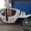 ���� �������, �����-���������, 55 ��� - ��������� 23 ��� 2014 � ������ ��������
