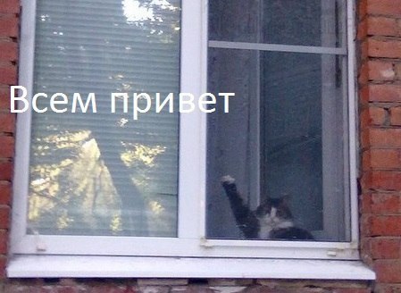   :3 - 5  2014  14:34