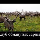 ���� �����, �������, 61 ��� - ��������� 15 ������ 2014 � ������ ������ ��������