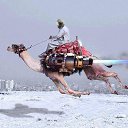 ���� ���������, ��������� - ��������� 3 ������� 2014 � ������ ������ ��������