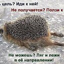 ���� �������, ������, 64 ���� - ��������� 3 ��� 2014 � ������ ������ ��������