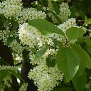 ���� ����, �����-���������, 57 ��� - ��������� 24 ��� 2014 � ������ ������ ��������